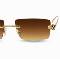 Lentes de Sol Valdiere Pantera (Protección UV400)