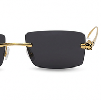 Lentes de Sol Valdiere Pantera (Protección UV400)